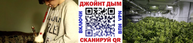 Бошки марихуана конопля Урай